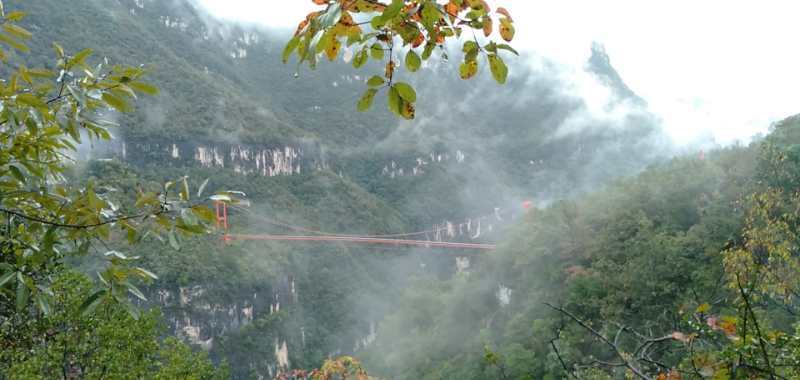 微信图片_202010091513416