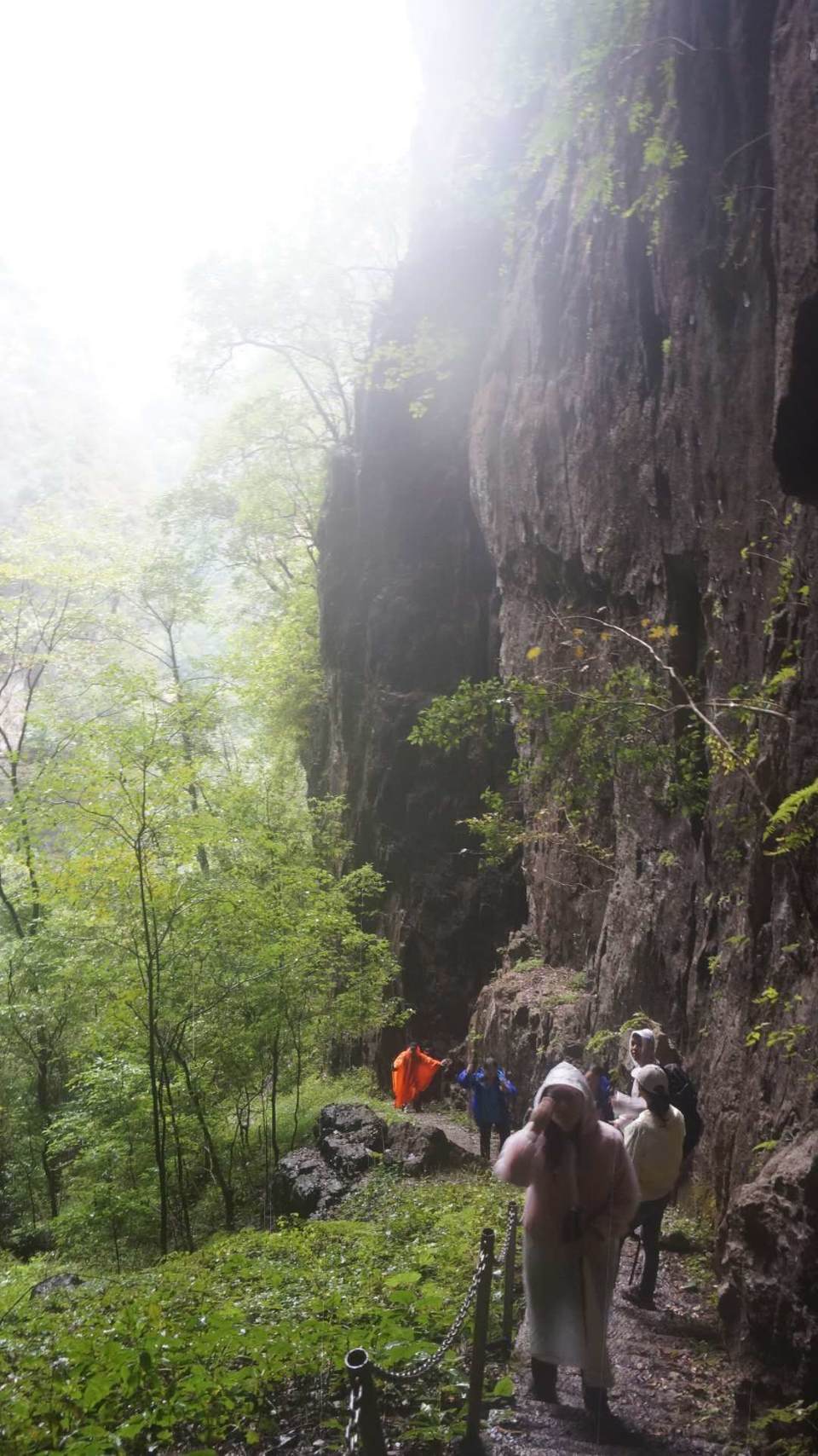 微信图片_202010091514254