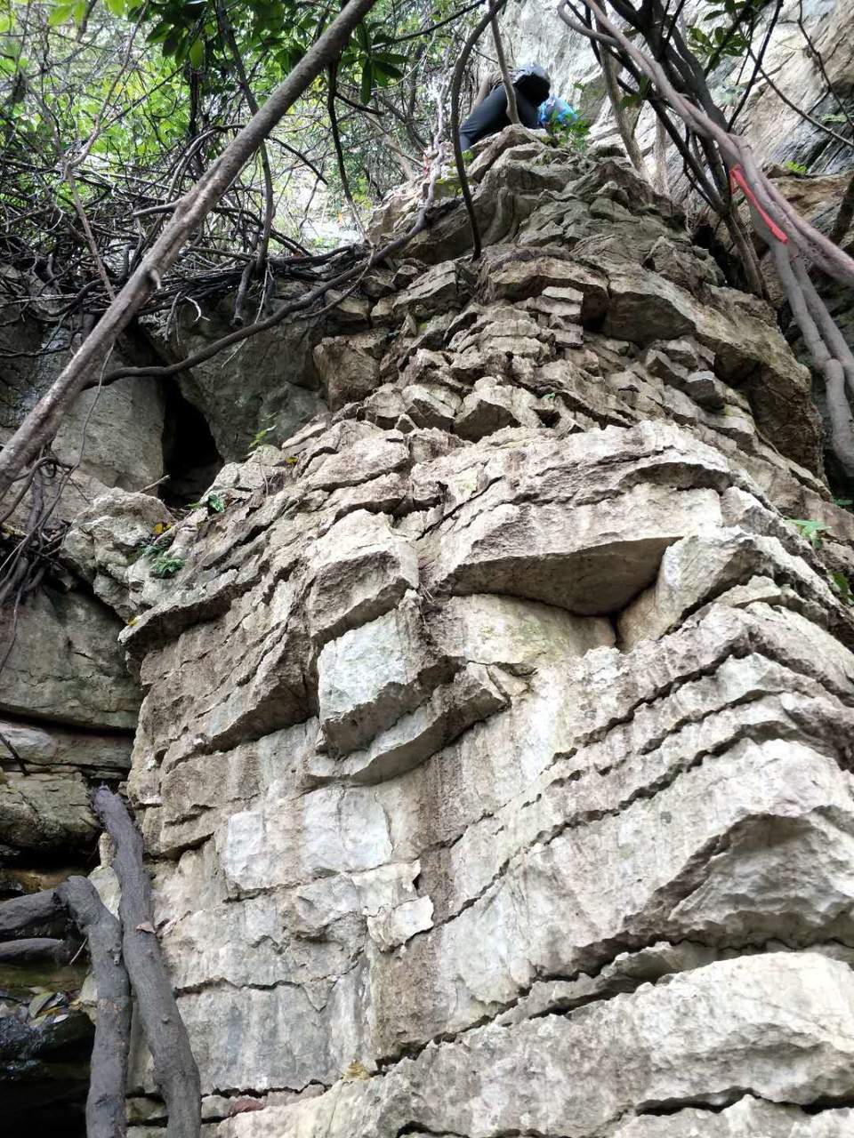 微信图片_20201019123534