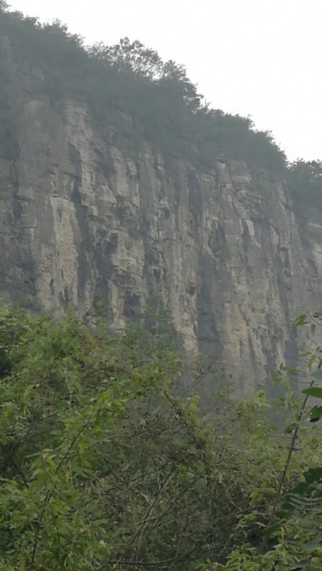 微信图片_20201019123919