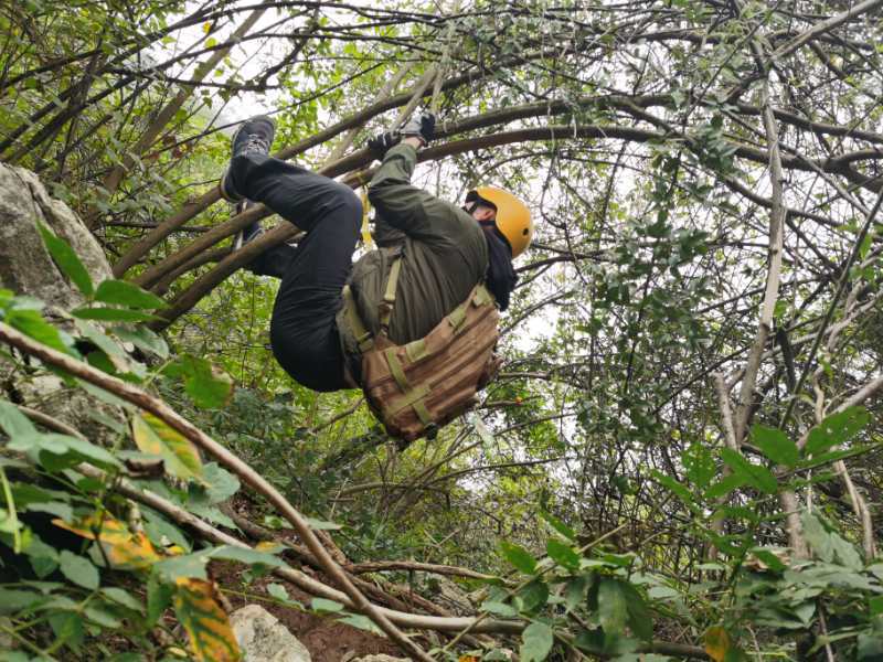 微信图片_202010191233292