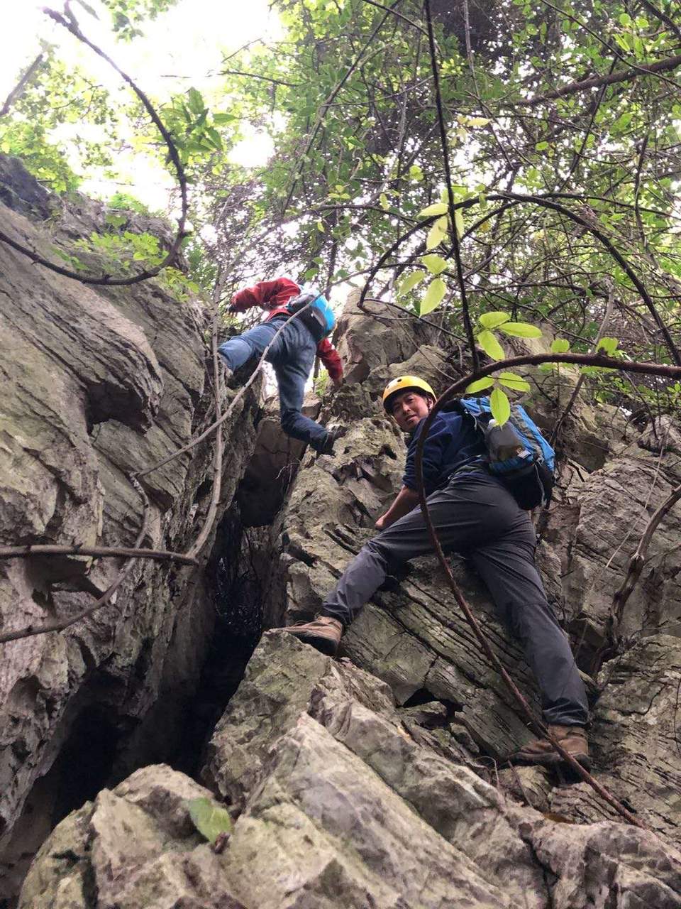 微信图片_202010191233293