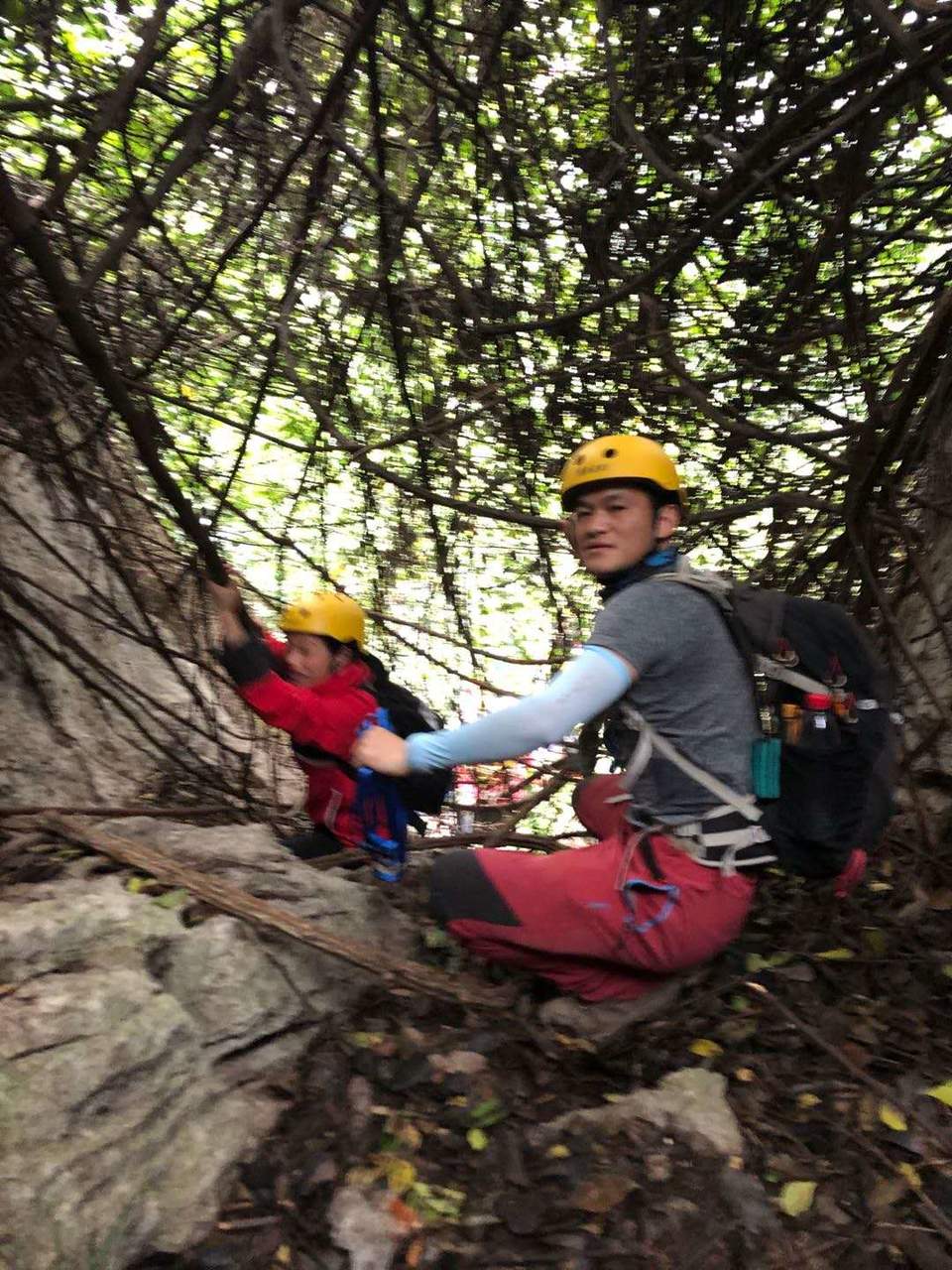 微信图片_202010191233294