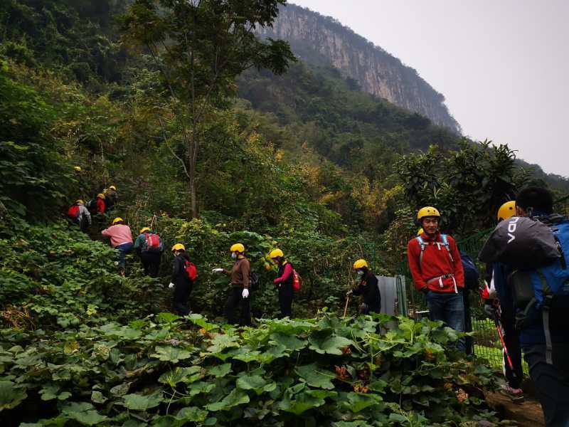 微信图片_202010191233297