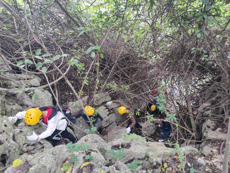 微信图片_202010191233561