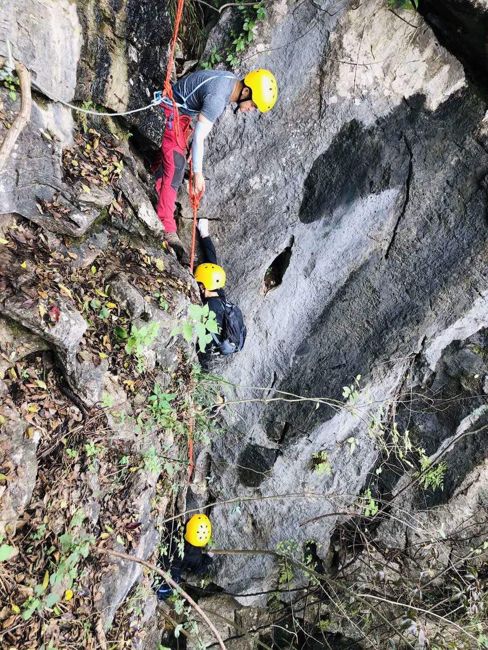 微信图片_202010191234557