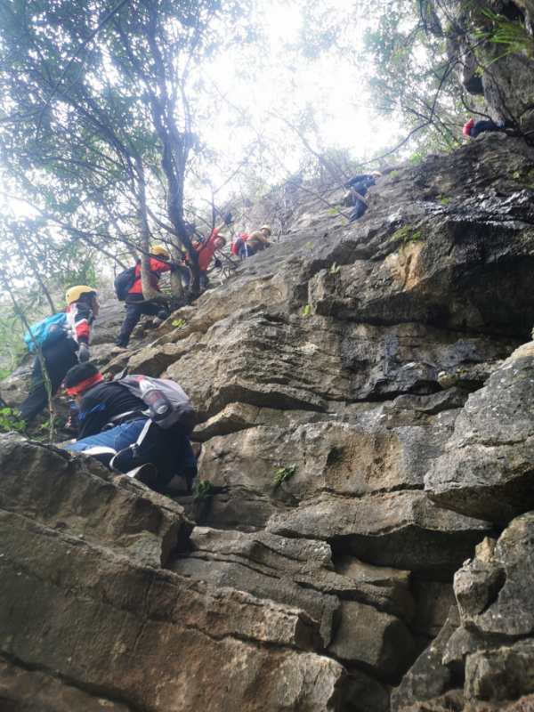 微信图片_202010191236065