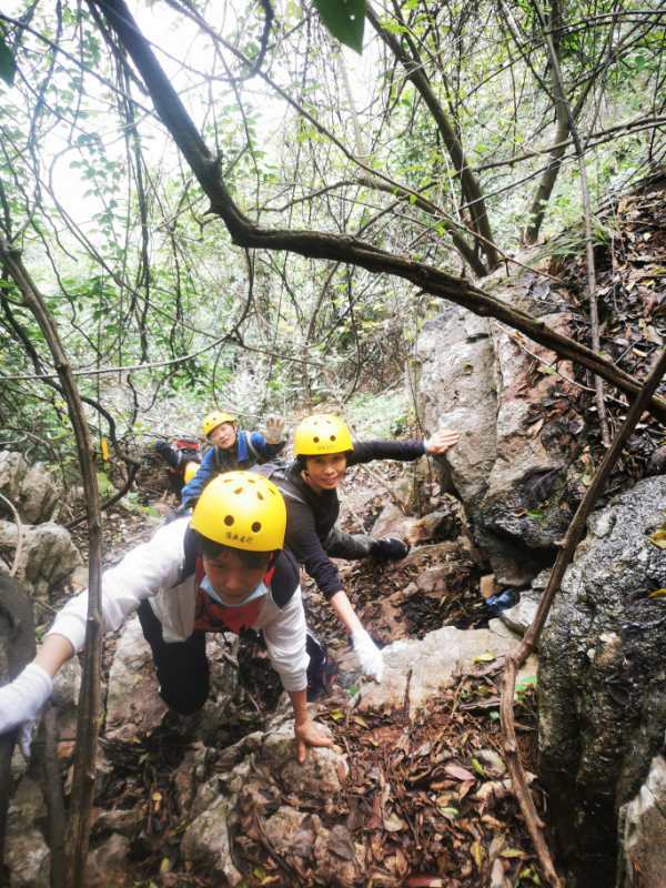 微信图片_202010191236068