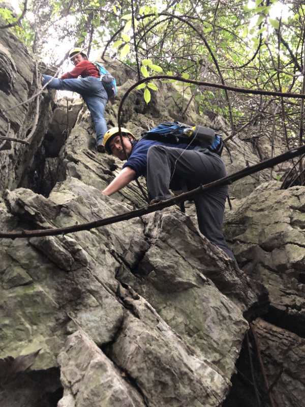 微信图片_202010191236292