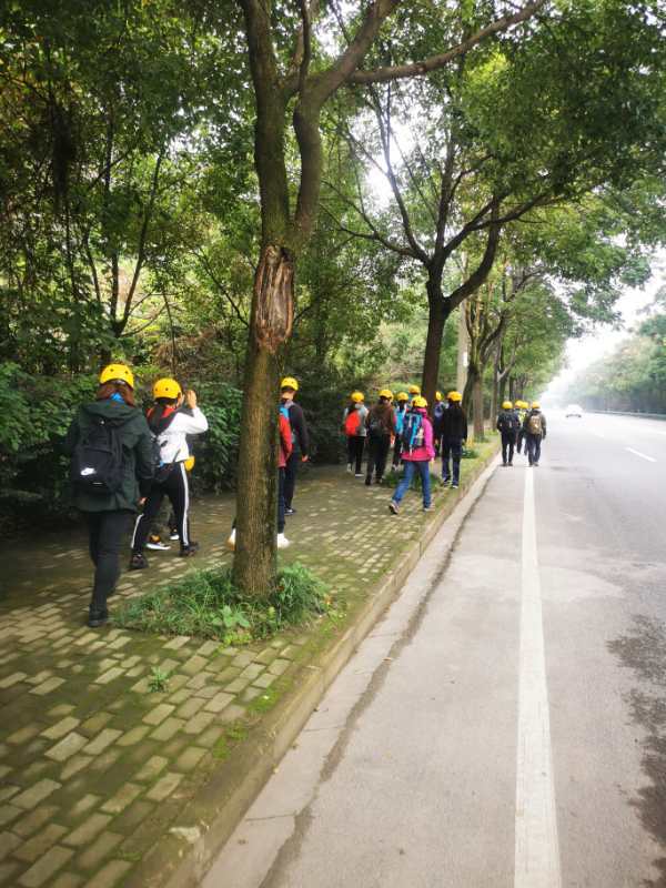 微信图片_202010191236296