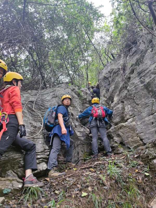 微信图片_202010191237285