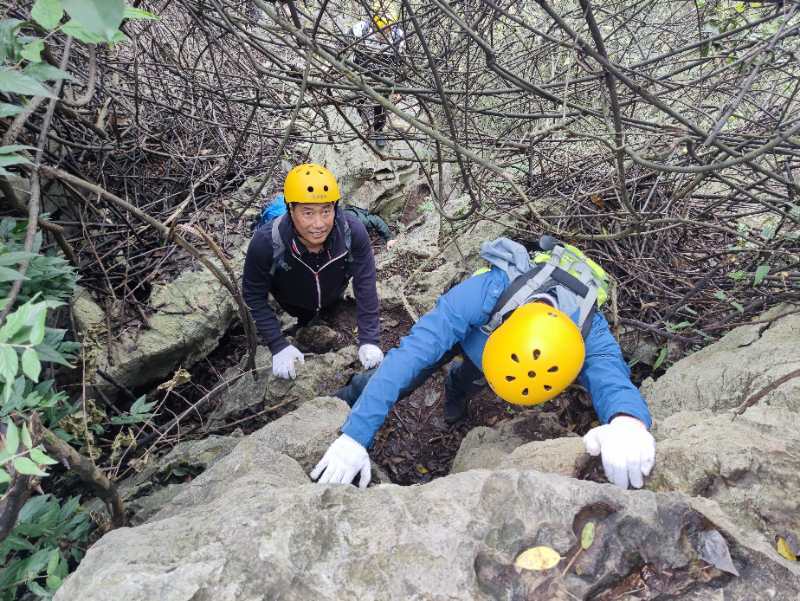 微信图片_202010191237286