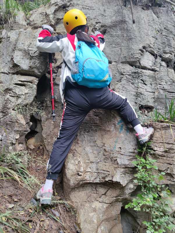 微信图片_202010191237287