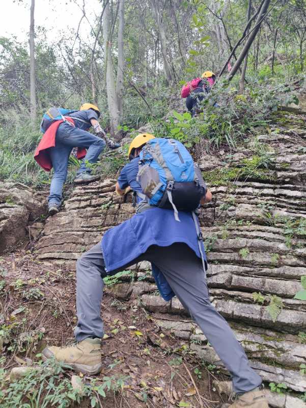 微信图片_202010191238105