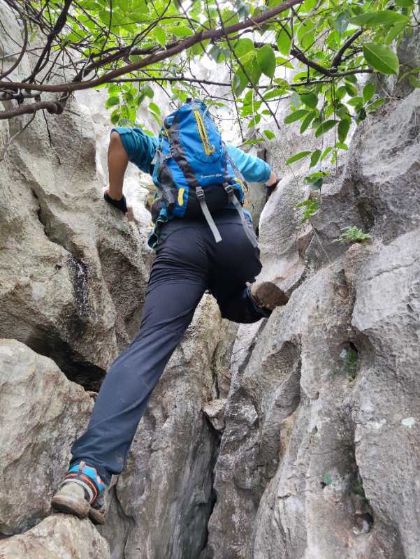 微信图片_202010191238106