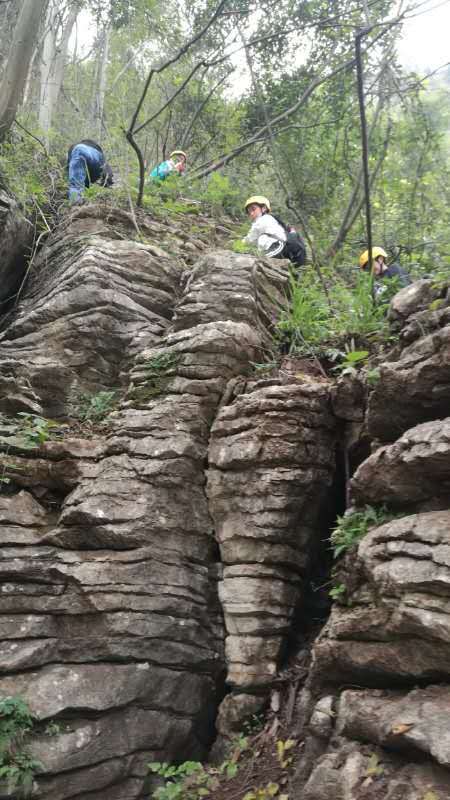 微信图片_202010191239191