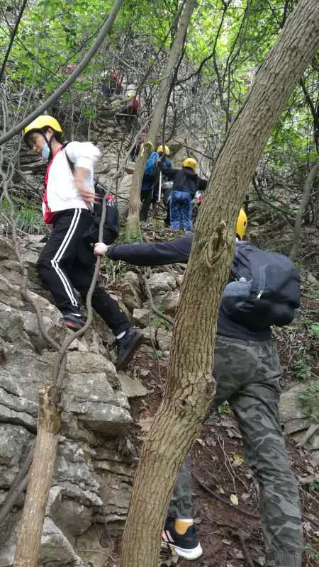 微信图片_202010191239192