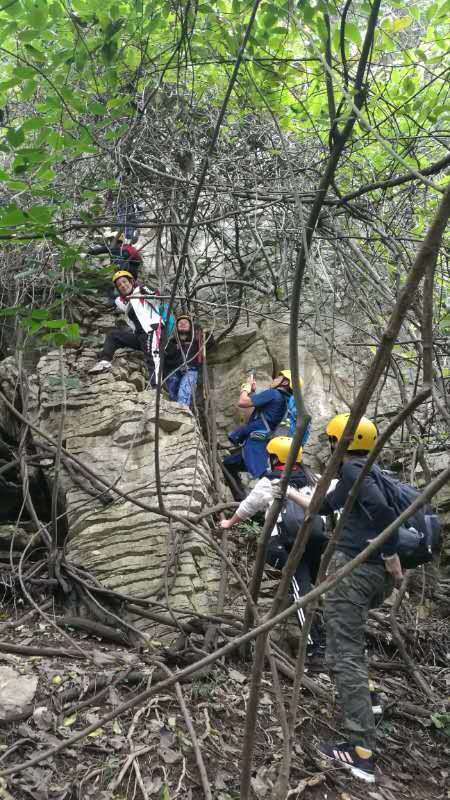 微信图片_202010191239193