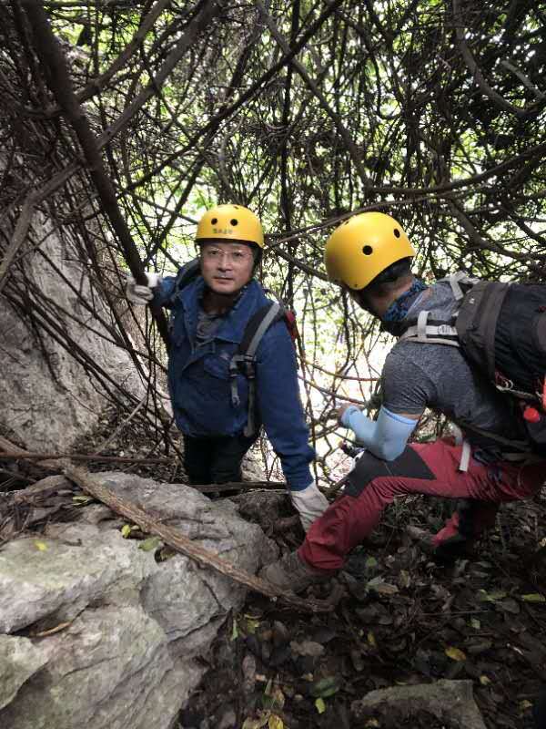 微信图片_202010191239441