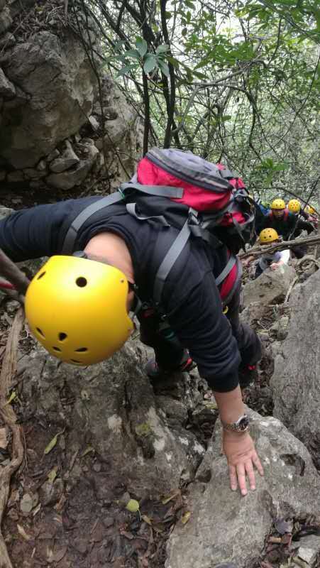 微信图片_202010191239444