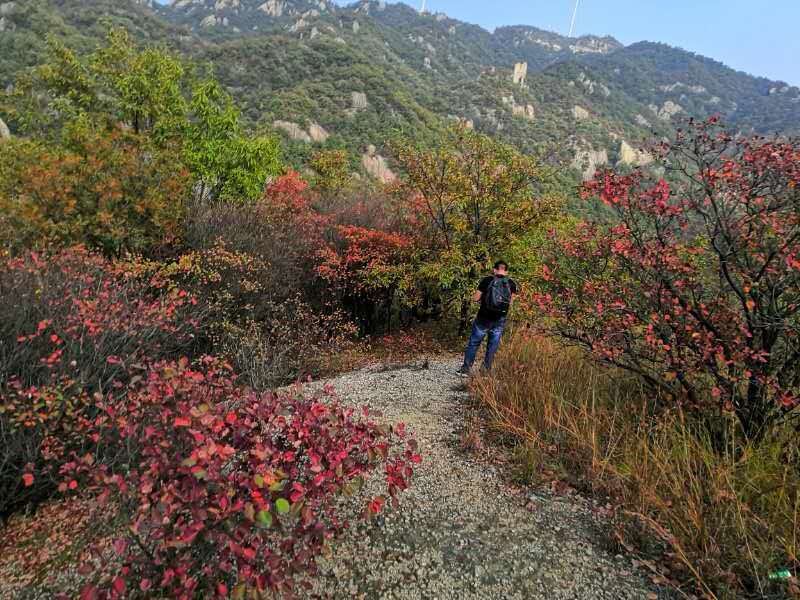 微信图片_20201102083937