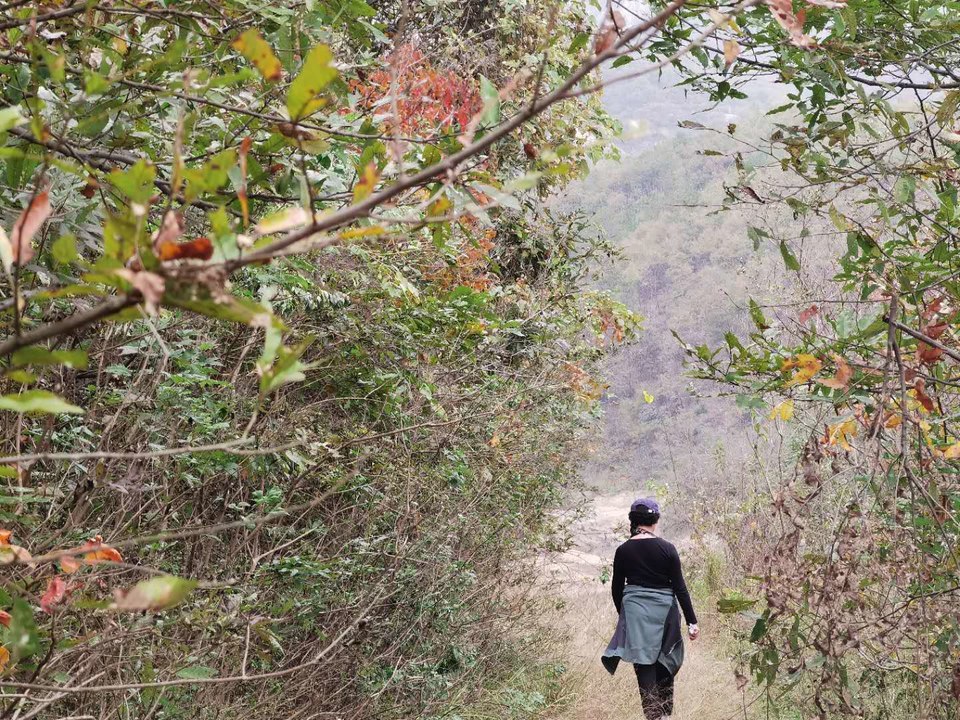 微信图片_20201102084028