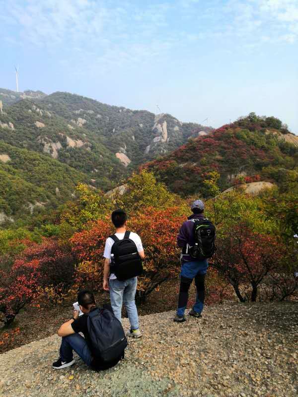 微信图片_202011020839371