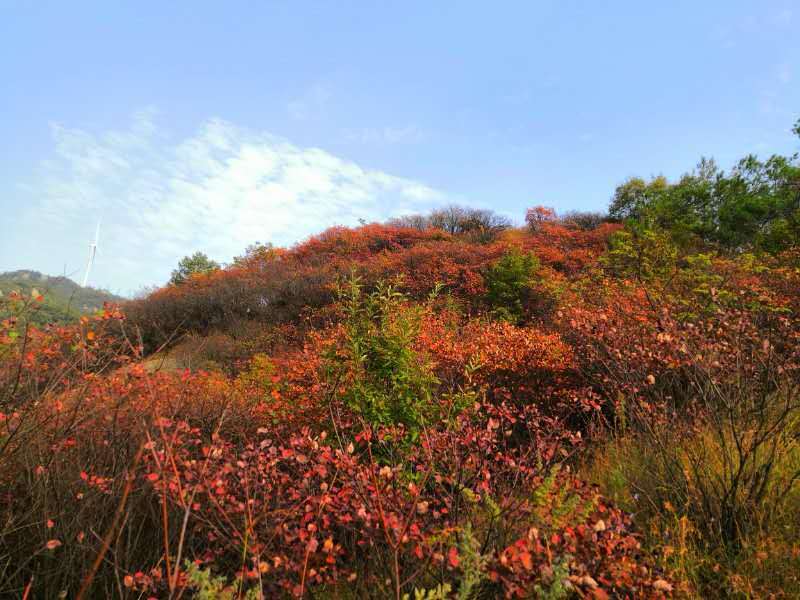 微信图片_202011020839372