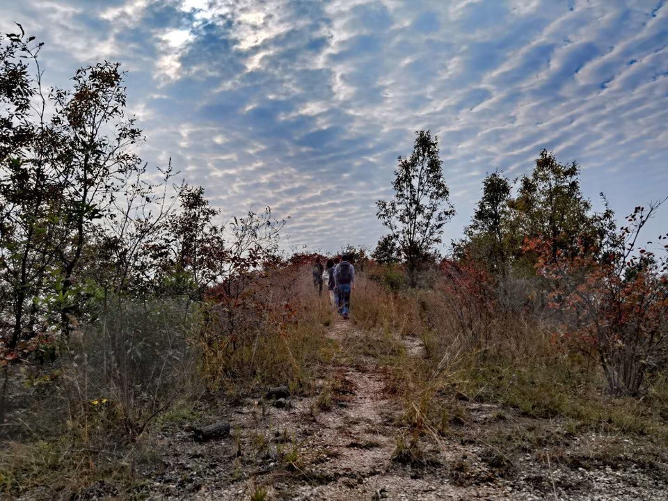 微信图片_202011020839373