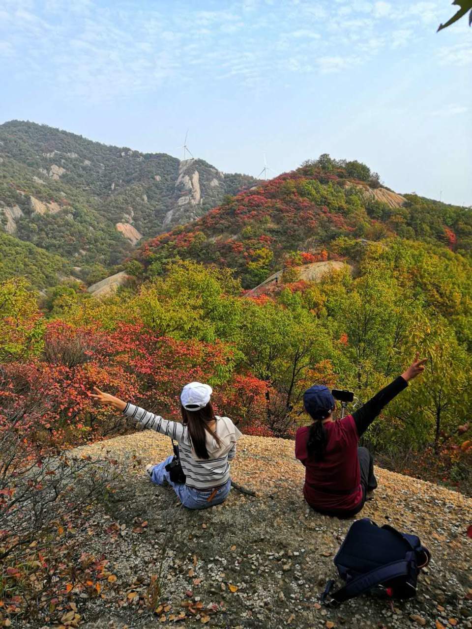 微信图片_202011020839374