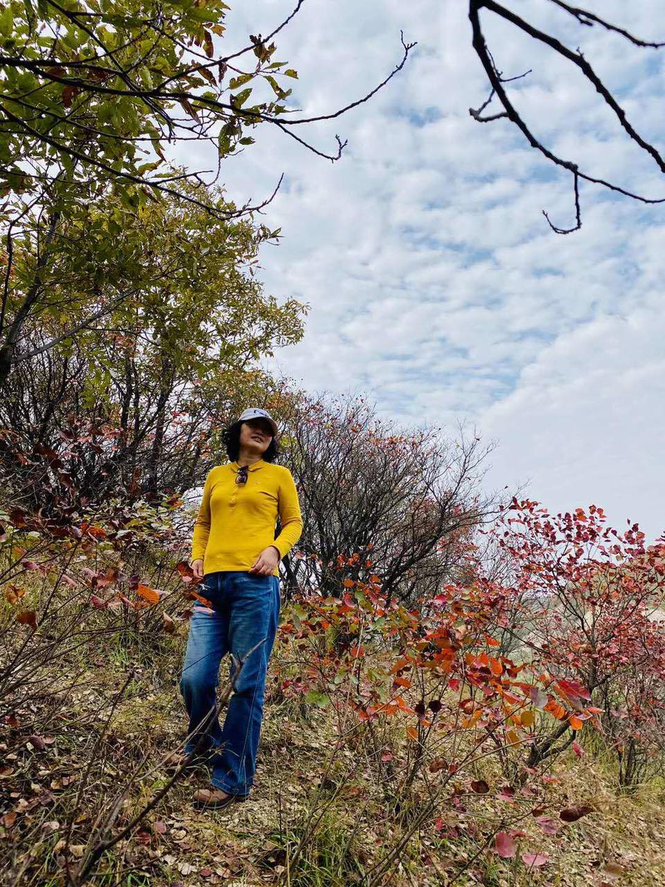 微信图片_202011020839378