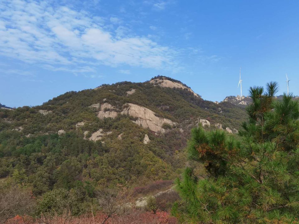 微信图片_202011020840096