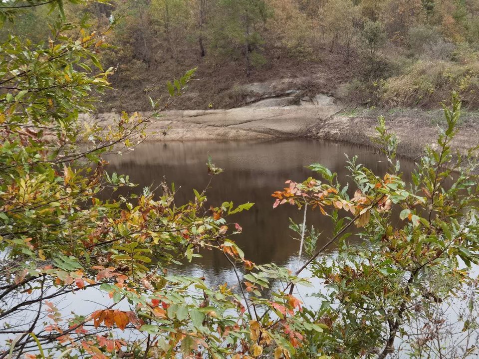 微信图片_202011020840097