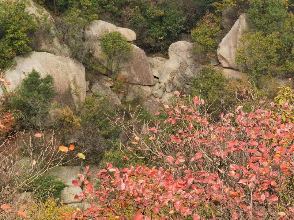 微信图片_202011020840098