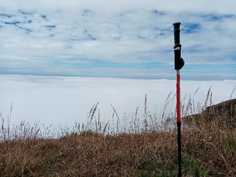 微信图片_20201102103909