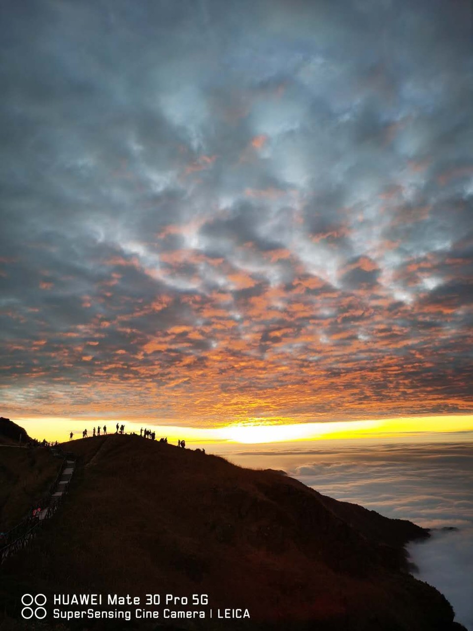 微信图片_20201102104239