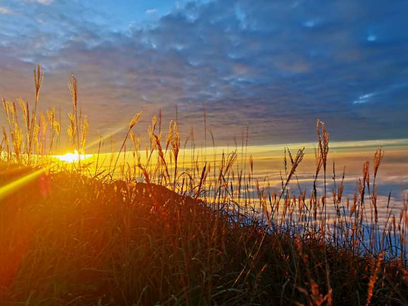 微信图片_20201102104338