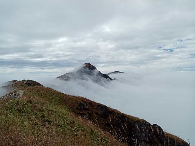 微信图片_202011021039091