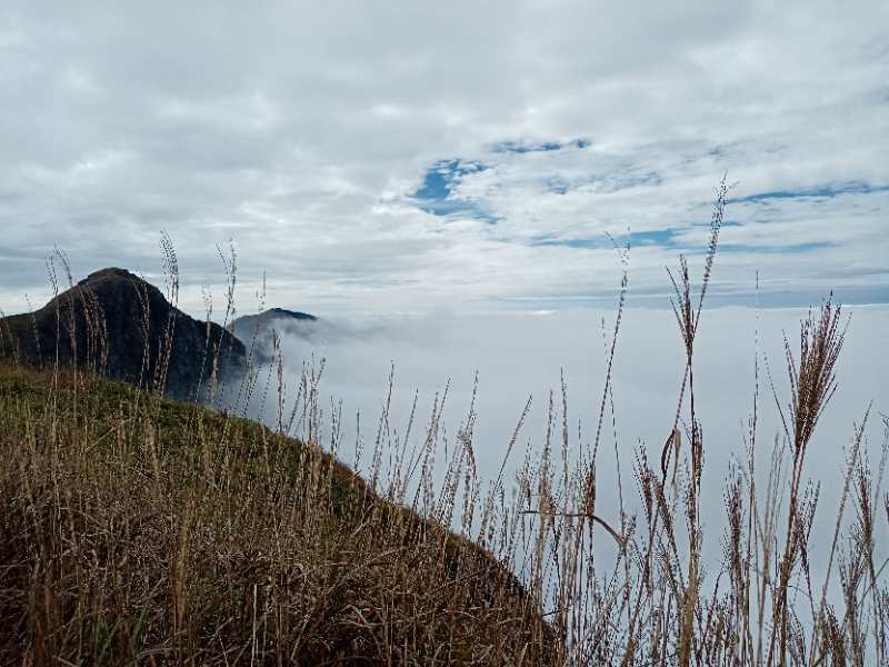 微信图片_202011021039093