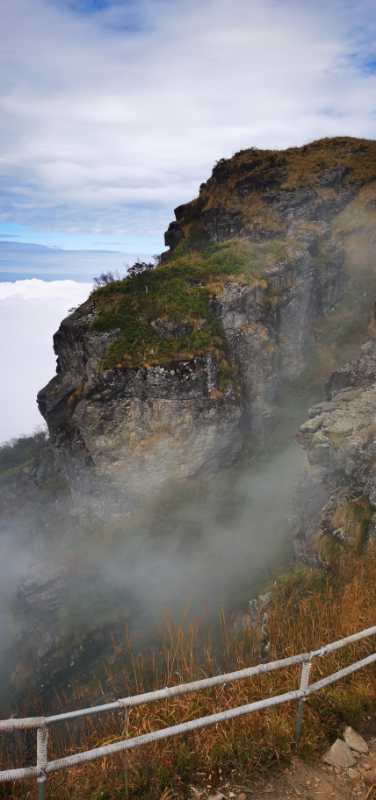 微信图片_202011021039094