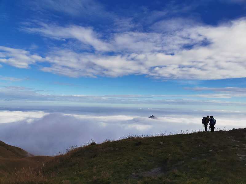 微信图片_202011021039376