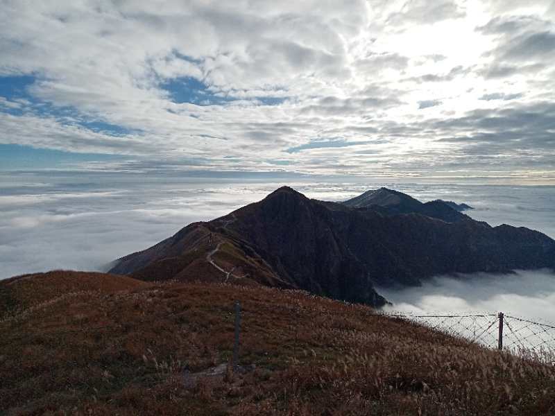 微信图片_202011021040042