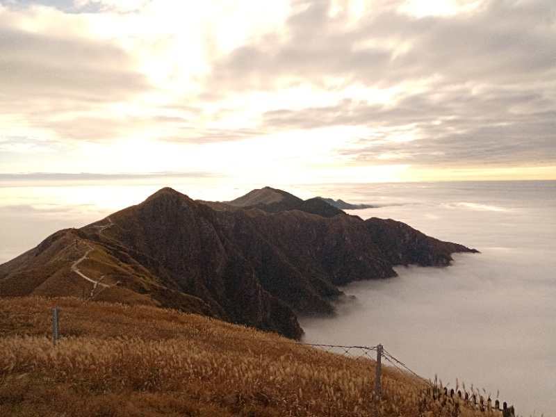 微信图片_202011021040044