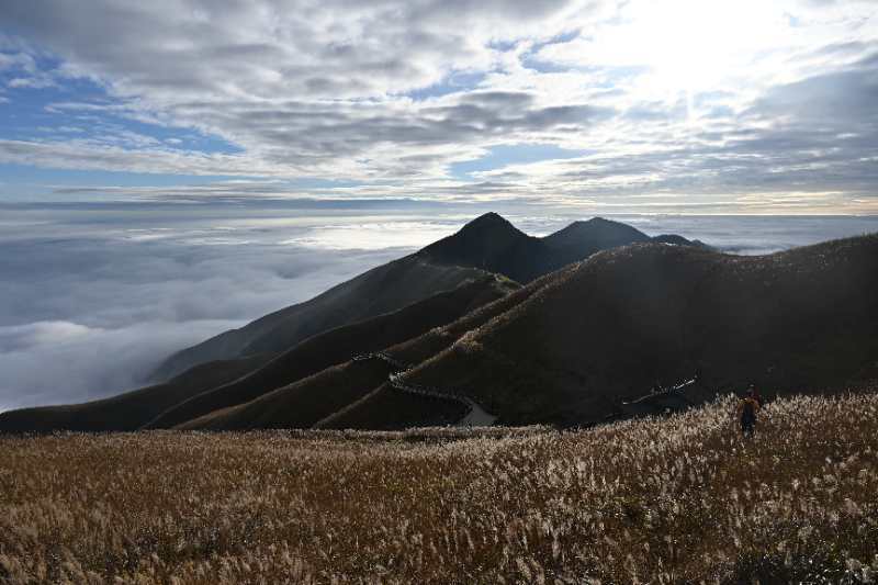 微信图片_202011021042115