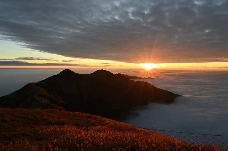 微信图片_202011021042116