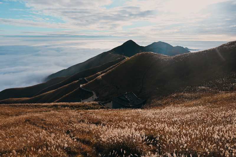 微信图片_202011021042392