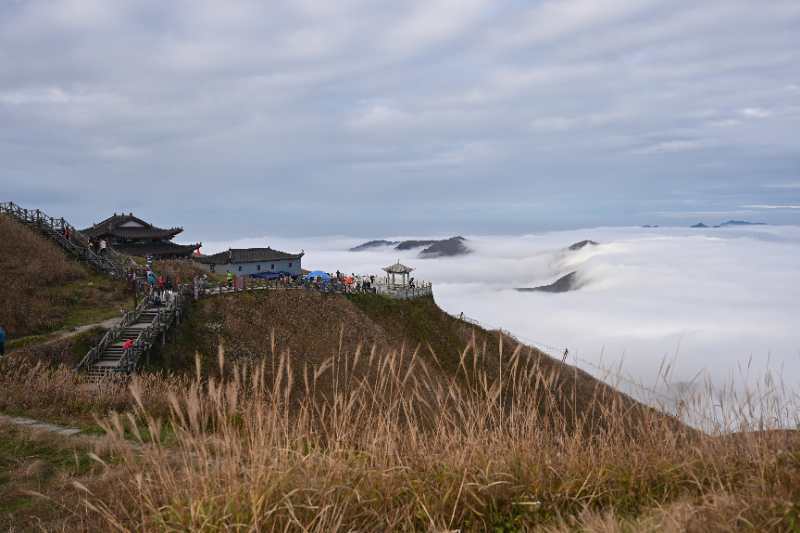 微信图片_202011021042395