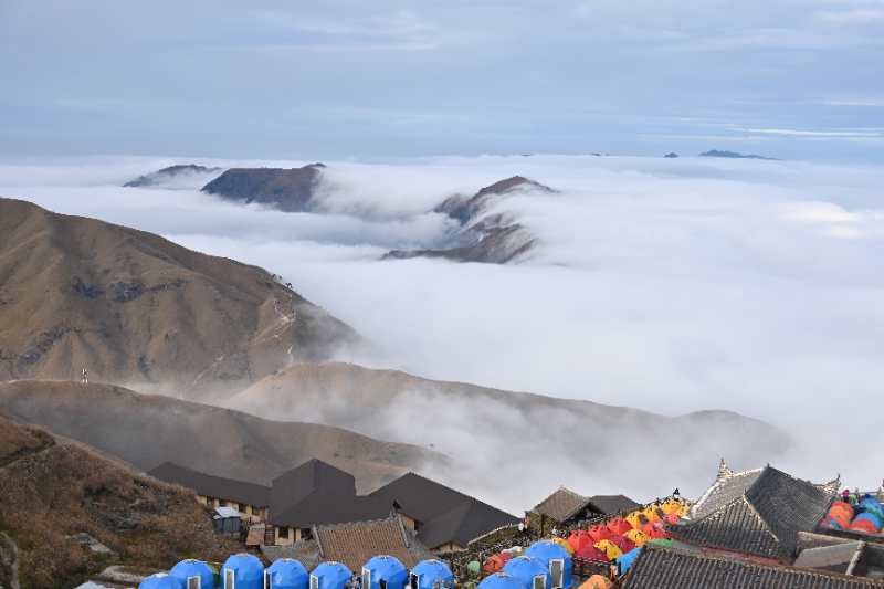 微信图片_202011021042396