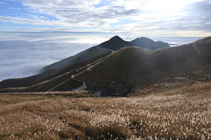 微信图片_202011021042397