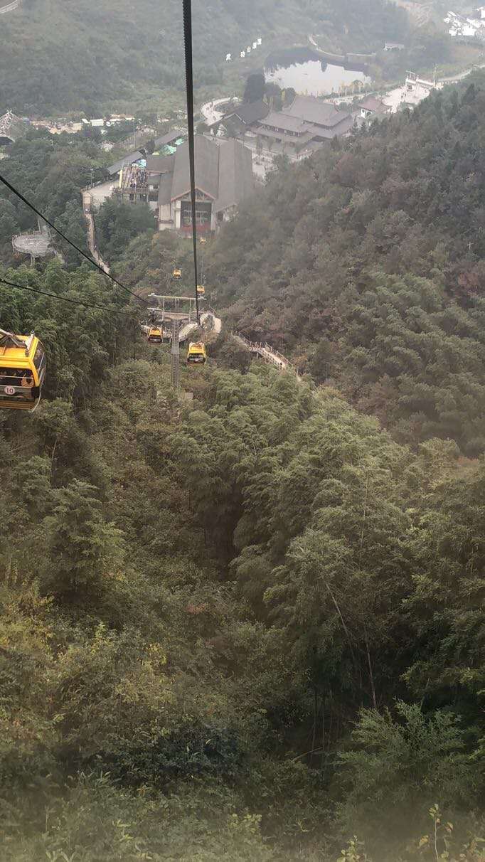 微信图片_202011021043123